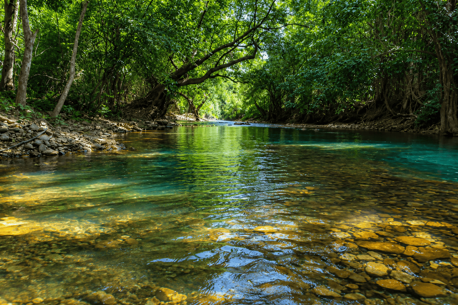 mamandur forest