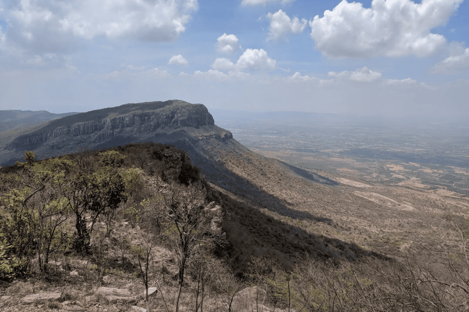 Gallery nagari nose point