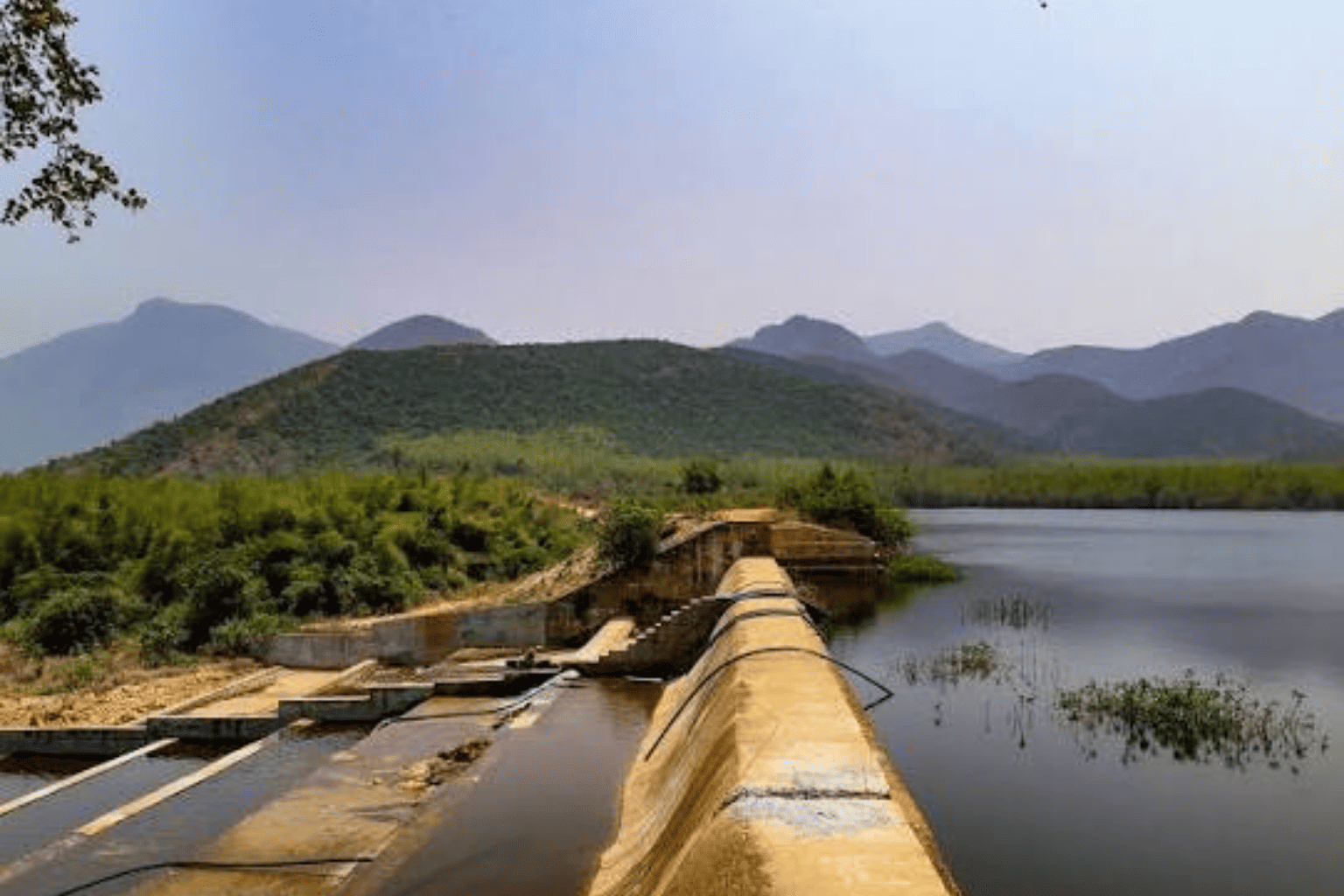 pichatur dam